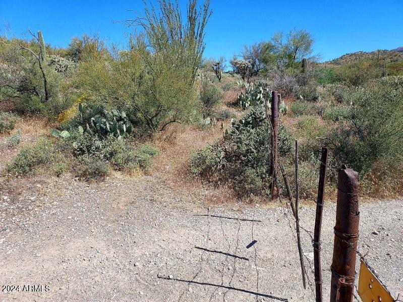 0 North Hardt Tank Road, Unit 4L ALSO KNOWN AS B Gold Canyon, AZ 85118 - Photo 5 of 8 a view of a dry yard with trees