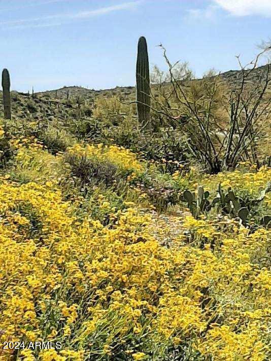 0 North Hardt Tank Road, Unit 4L ALSO KNOWN AS B Gold Canyon, AZ 85118 - Photo 7 of 8 a view of a large body of water with a building in the background