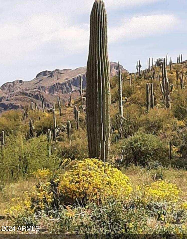 0 North Hardt Tank Road, Unit 4L ALSO KNOWN AS B Gold Canyon, AZ 85118 - Photo 8 of 8 a view of a garden