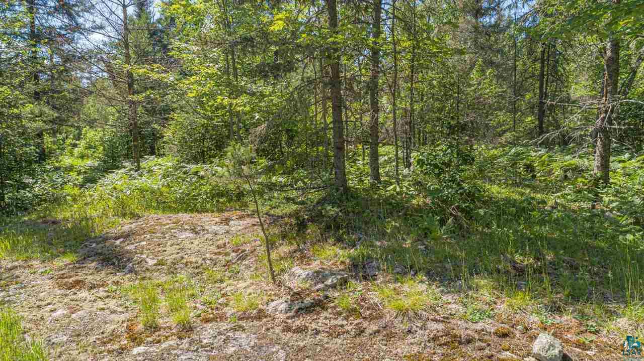 Tbd Maple Street Ely, MN 55731 - Photo 22 of 37 Gallery Image 22