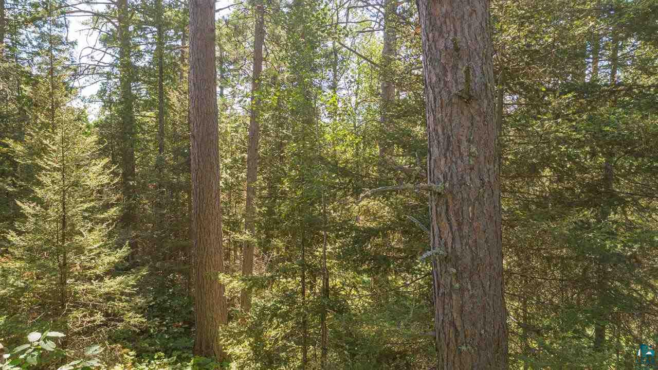 Tbd Maple Street Ely, MN 55731 - Photo 9 of 37 Gallery Image 9