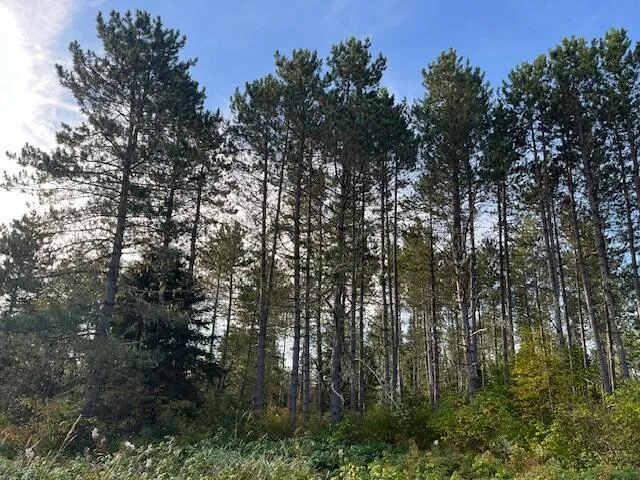 $69,500 | 249 Madawaska Road, New Sweden, ME 04762