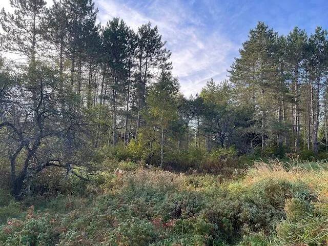 $69,500 | 249 Madawaska Road, New Sweden, ME 04762