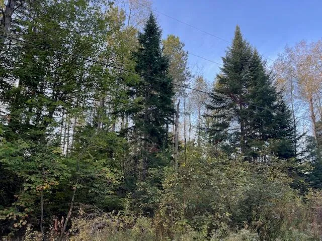 $69,500 | 249 Madawaska Road, New Sweden, ME 04762