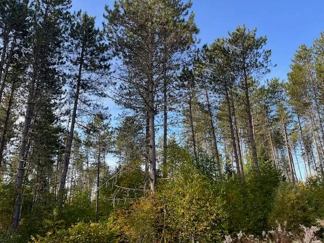 $69,500 | 249 Madawaska Road, New Sweden, ME 04762