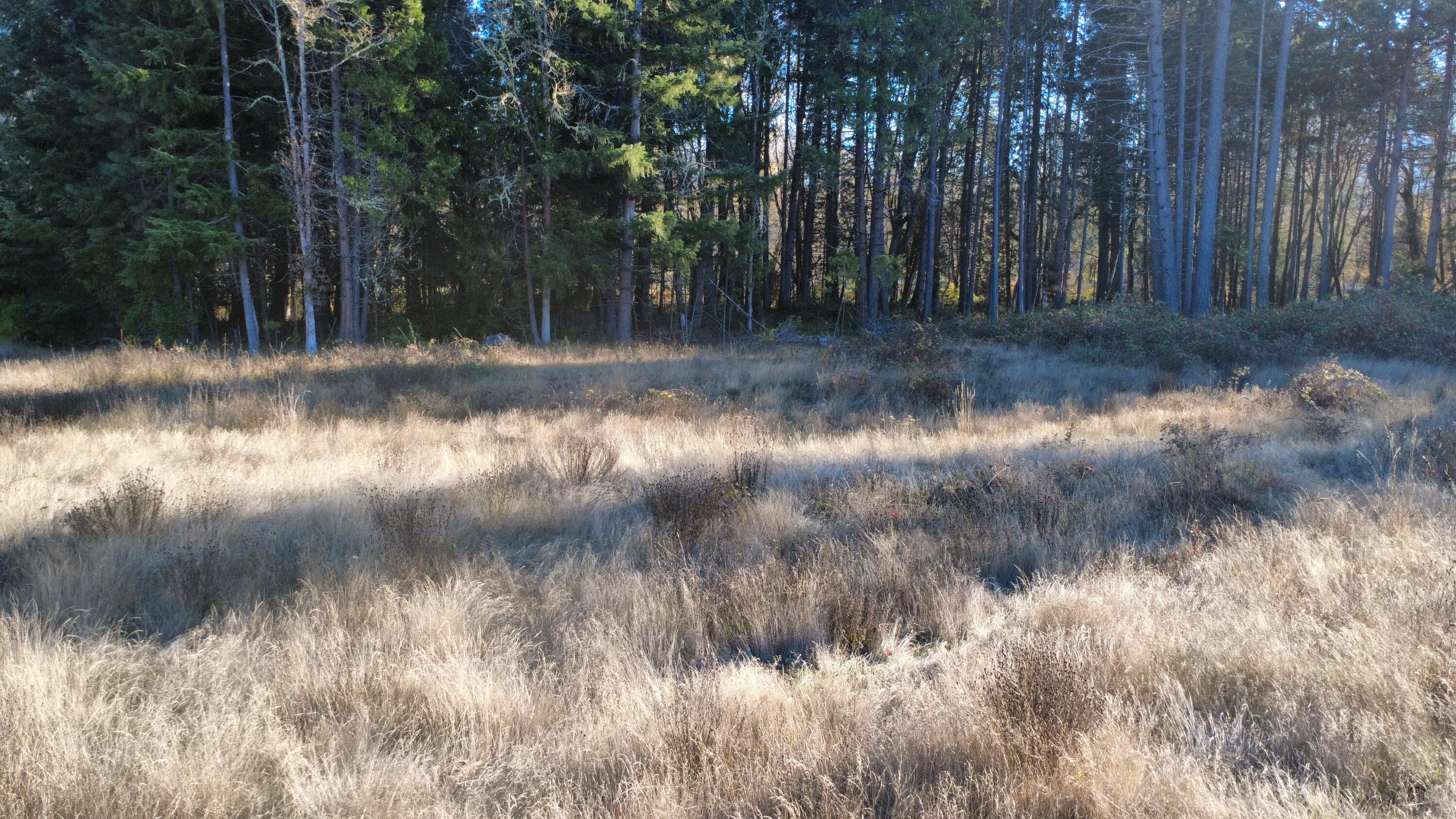 188 Pisqually Lane Azalea, OR 97410 - Photo 4 of 19 dji_fly_20251115_144742_53_1763247188612
