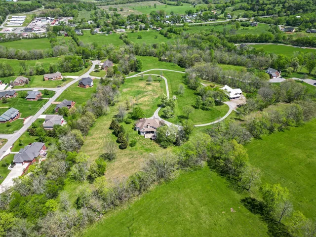 a view of a house with a big yard potted plants and large tree