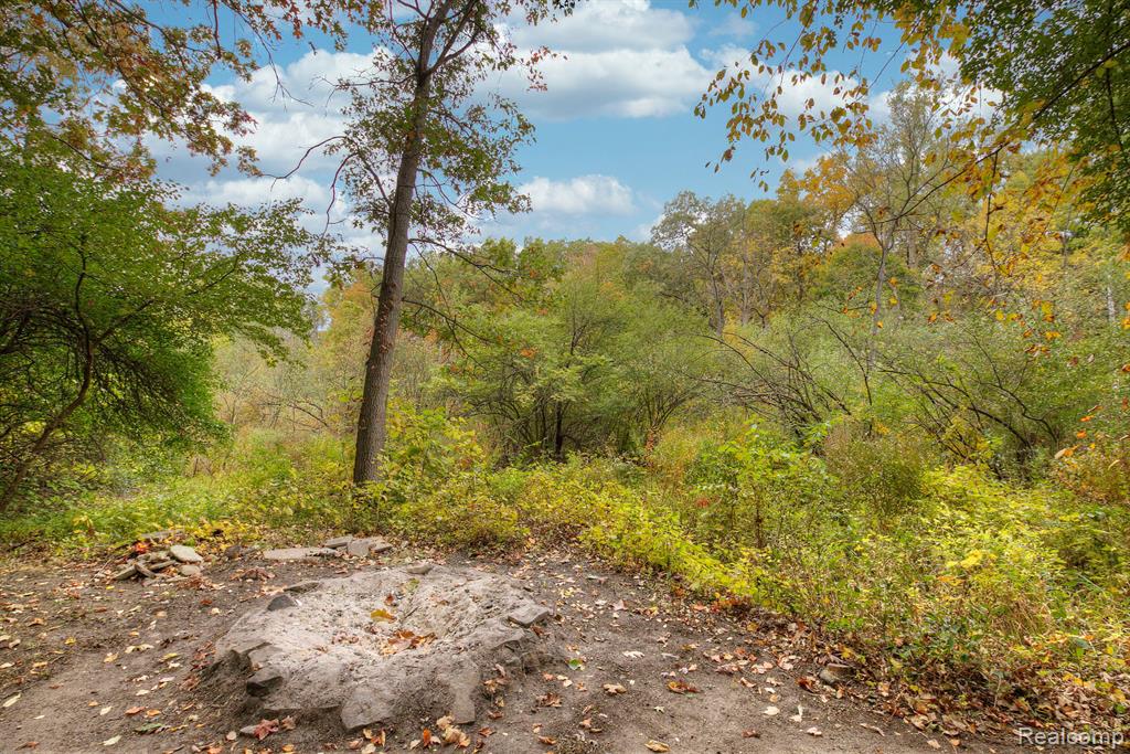 6527 Crane Road Ypsilanti, MI 48197 - Photo 49 of 57