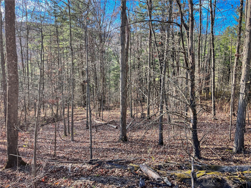 1188 Braybrook Road Chemung, NY 14861 - Photo 24 of 45