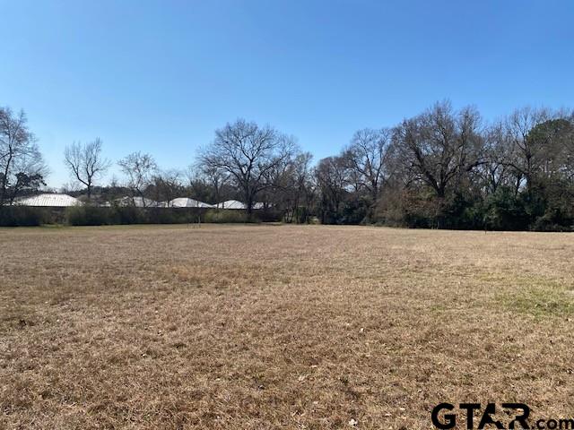 Tbd Laurel Road Athens, TX 75751 - Photo 2 of 4