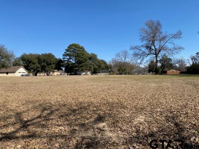 Tbd Laurel Road Athens, TX 75751 - Photo 3 of 4