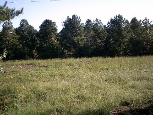 0 Boyles Mill Road Northeast Dalton, GA 30721 - Photo 1 of 1 Main View