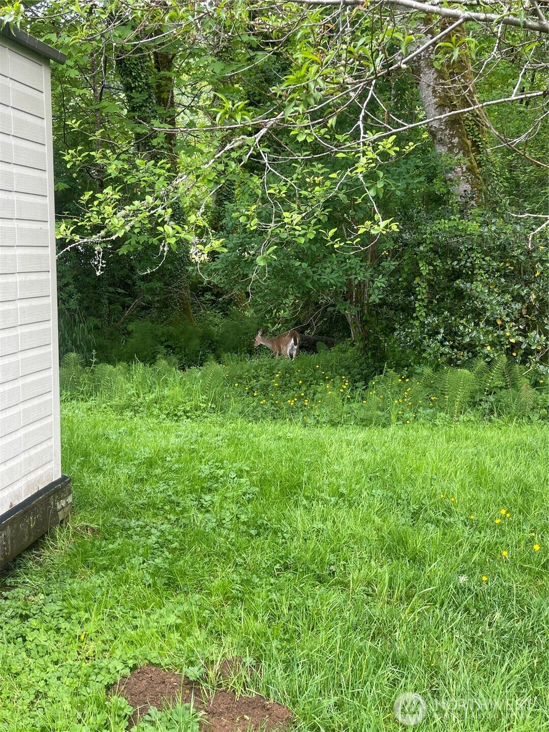 1050 Howard Street, Unit 10 Raymond, WA 98577 - Photo 17 of 18