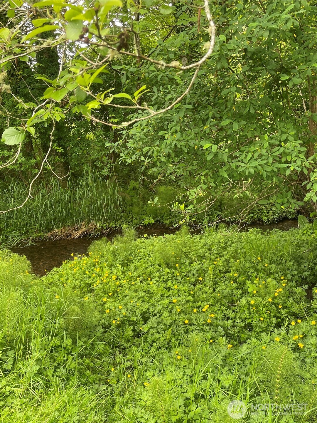 1050 Howard Street, Unit 10 Raymond, WA 98577 - Photo 18 of 18