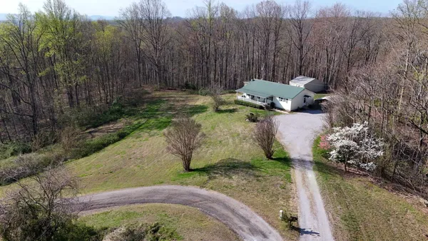 a view of a forest with a street