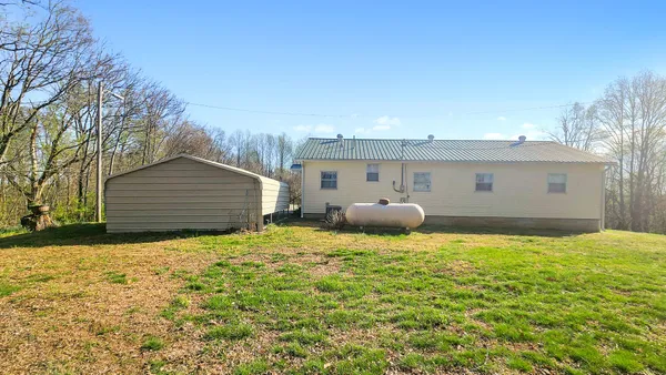 a picture of a field and grass