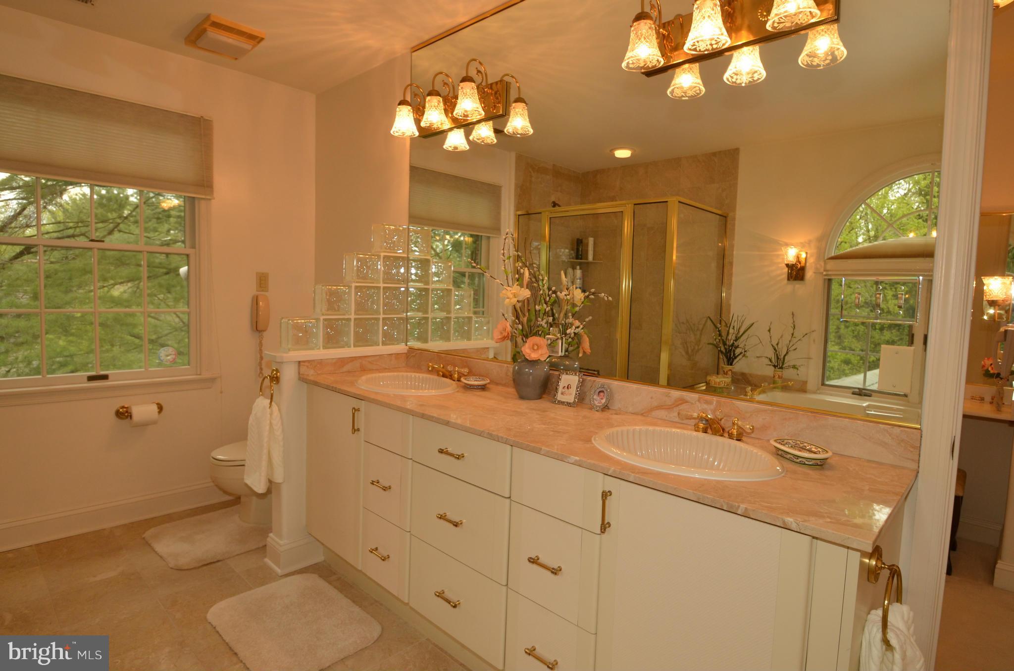 1925 West Joppa Road Towson, MD 21204 - Photo 18 of 30 Bath (Master)