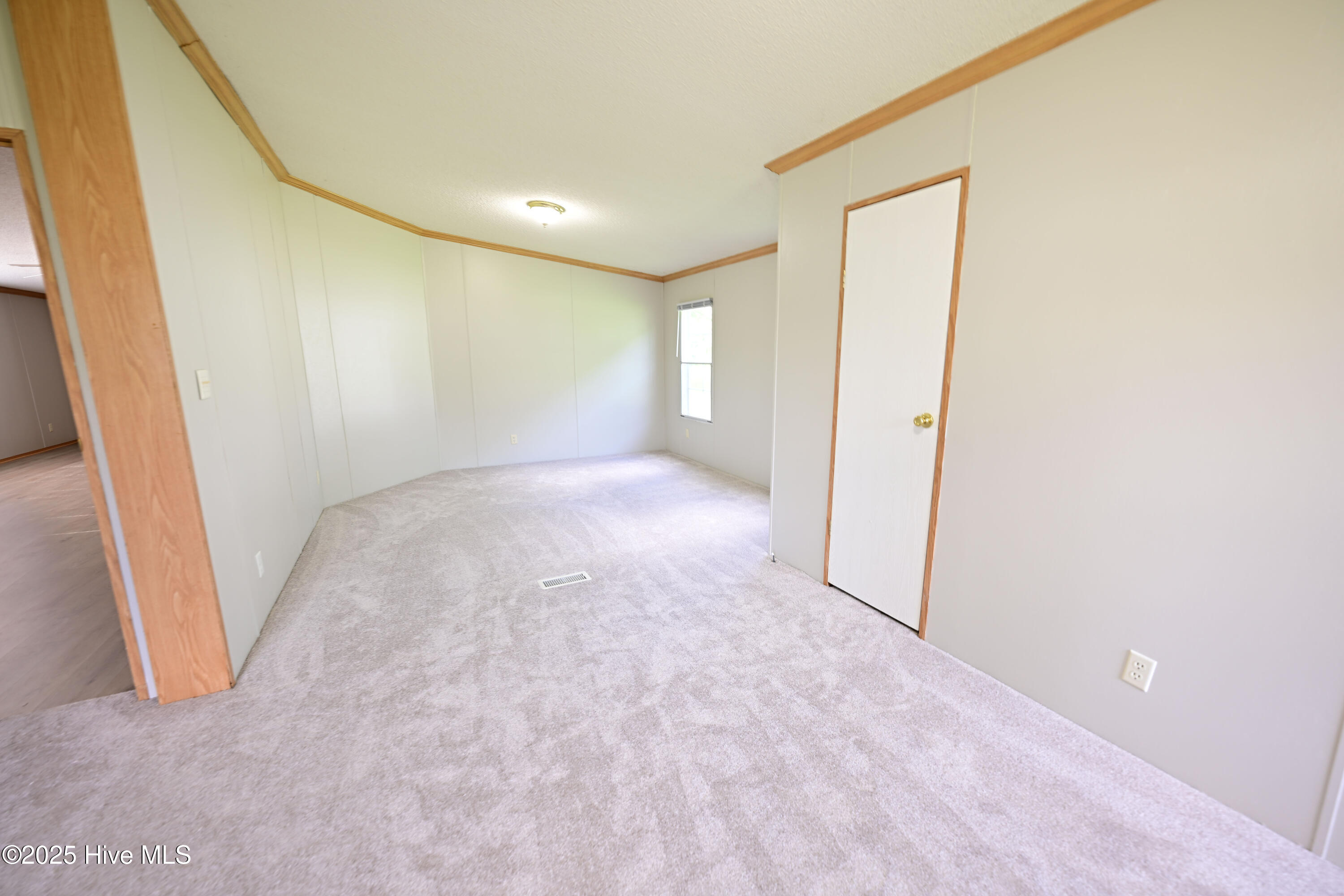 242 Old Timber Road Jacksonville, NC 28540 - Photo 17 of 25 Expansive Master view 2