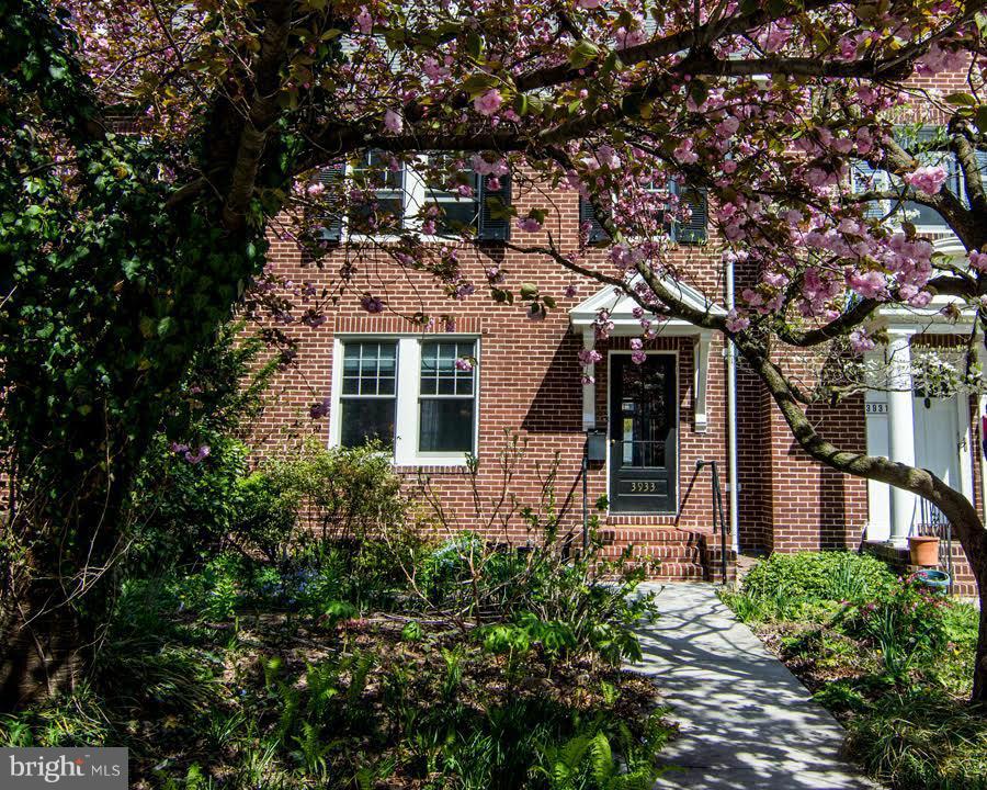 3933 Keswick Road Baltimore, MD 21211 - Photo 1 of 21 front view of a house with a tree