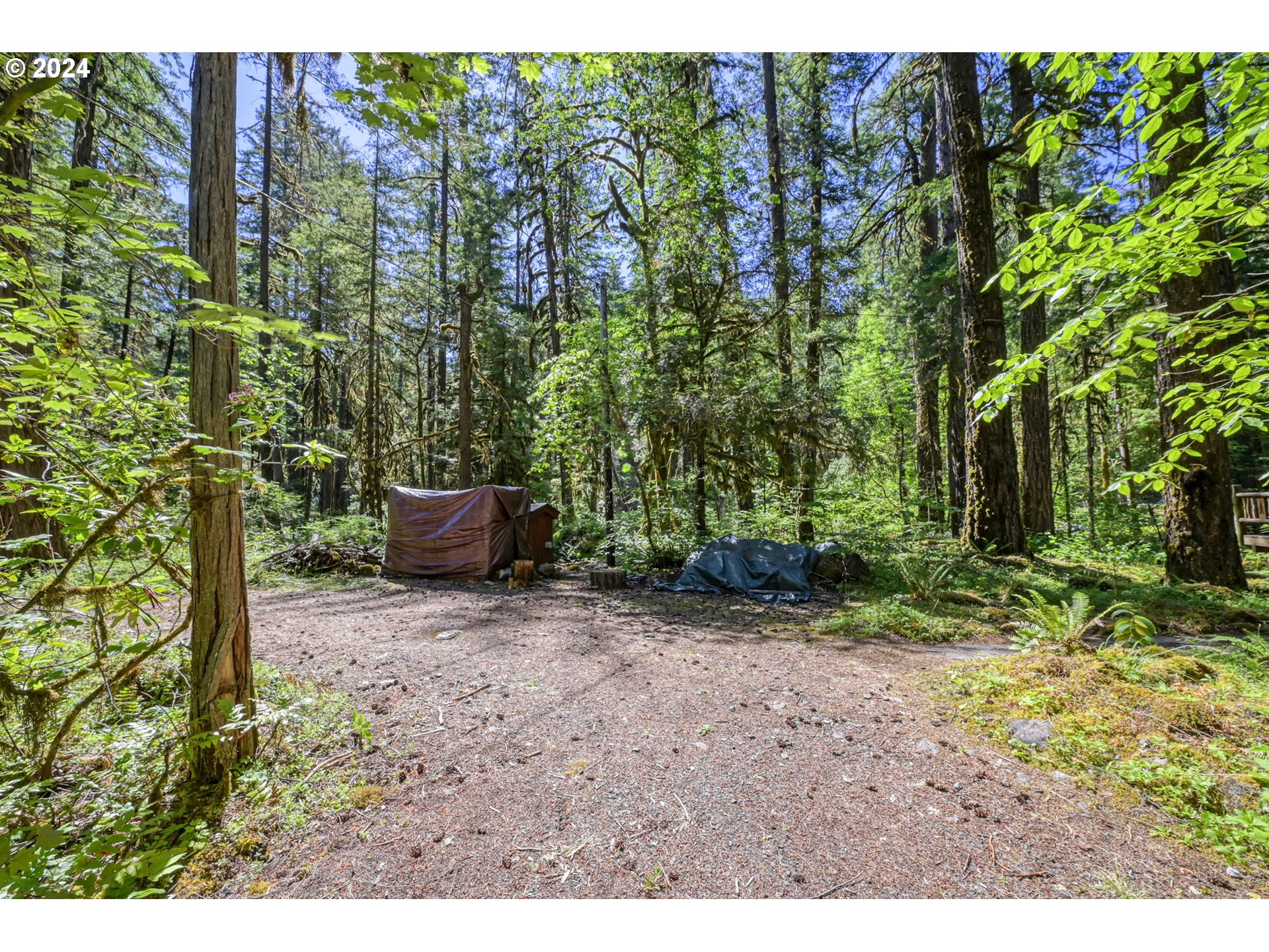 54822 King Road East Blue River, OR 97413 - Photo 27 of 33 Gallery Image 27