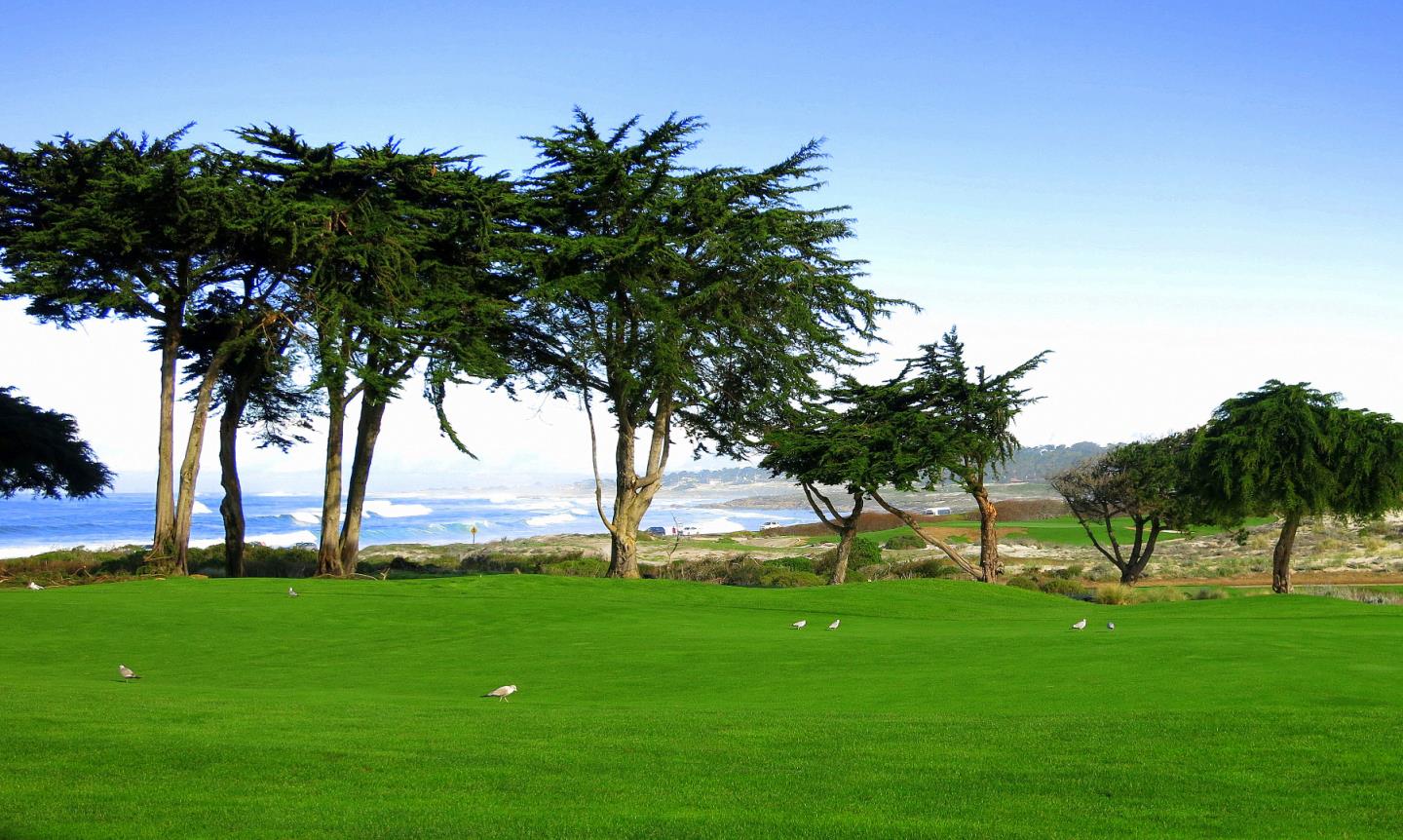 956 Sand Dunes Road Pebble Beach, CA 93953 - Photo 24 of 29 Gallery Image 24