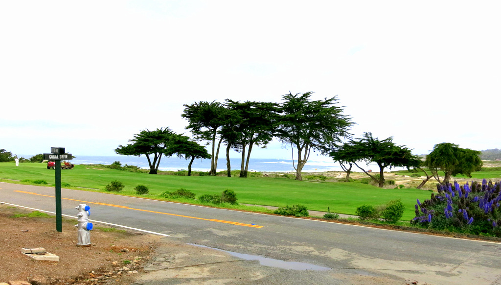 956 Sand Dunes Road Pebble Beach, CA 93953 - Photo 25 of 29 Gallery Image 25