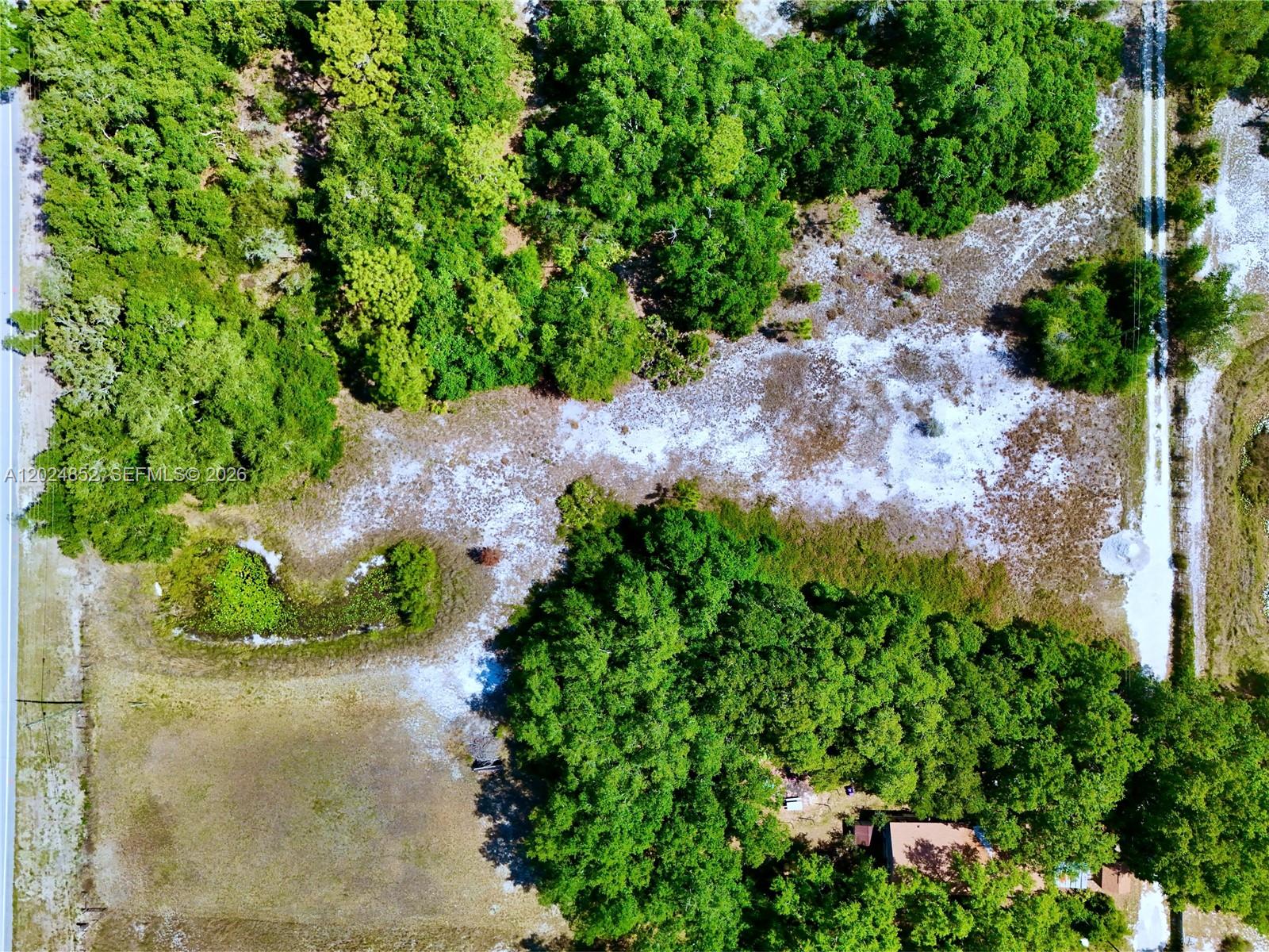 3175 Walk In Water Road Lake Wales, FL 33898 - Photo 15 of 35 a view of a garden with plants