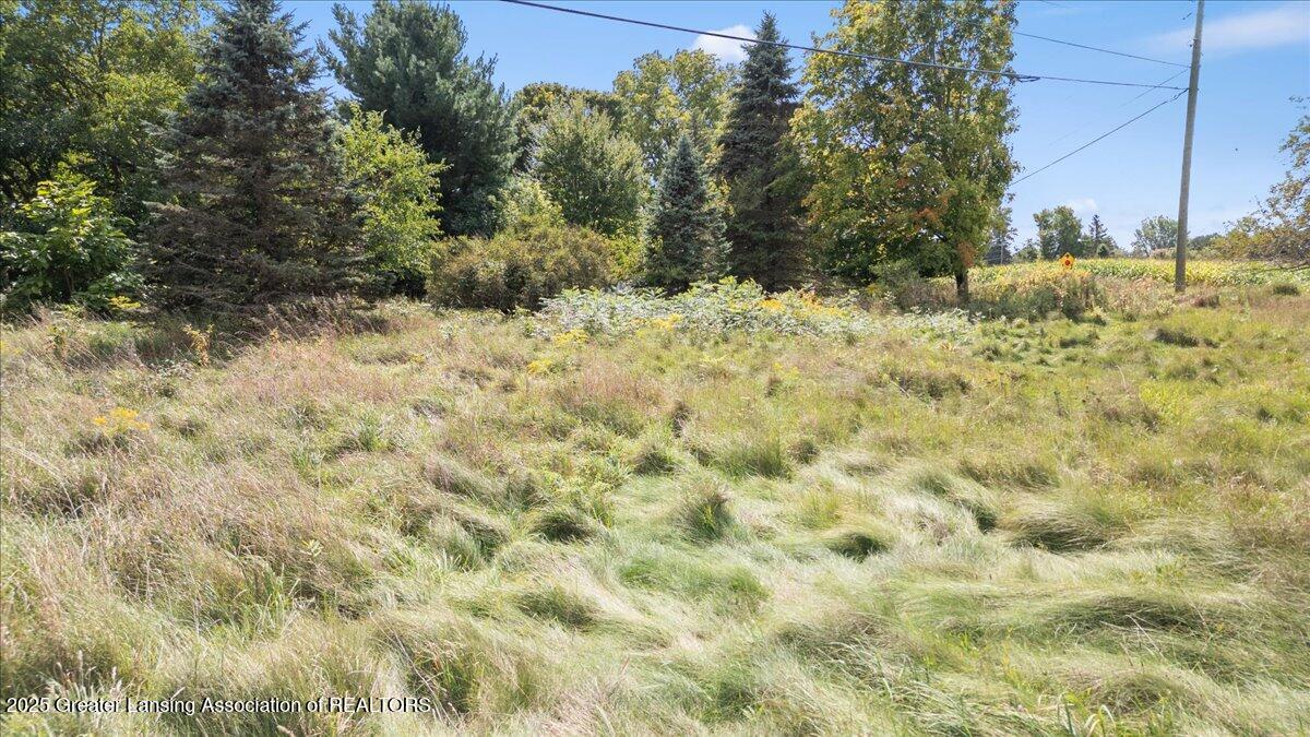 0 Bond Road Onondaga, MI 49264 - Photo 11 of 11 04-Media Jett - 02