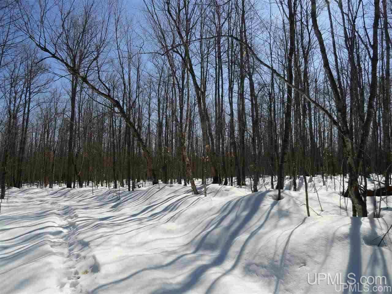 240-acres Leek Road Covington, MI 49919 - Photo 15 of 50
