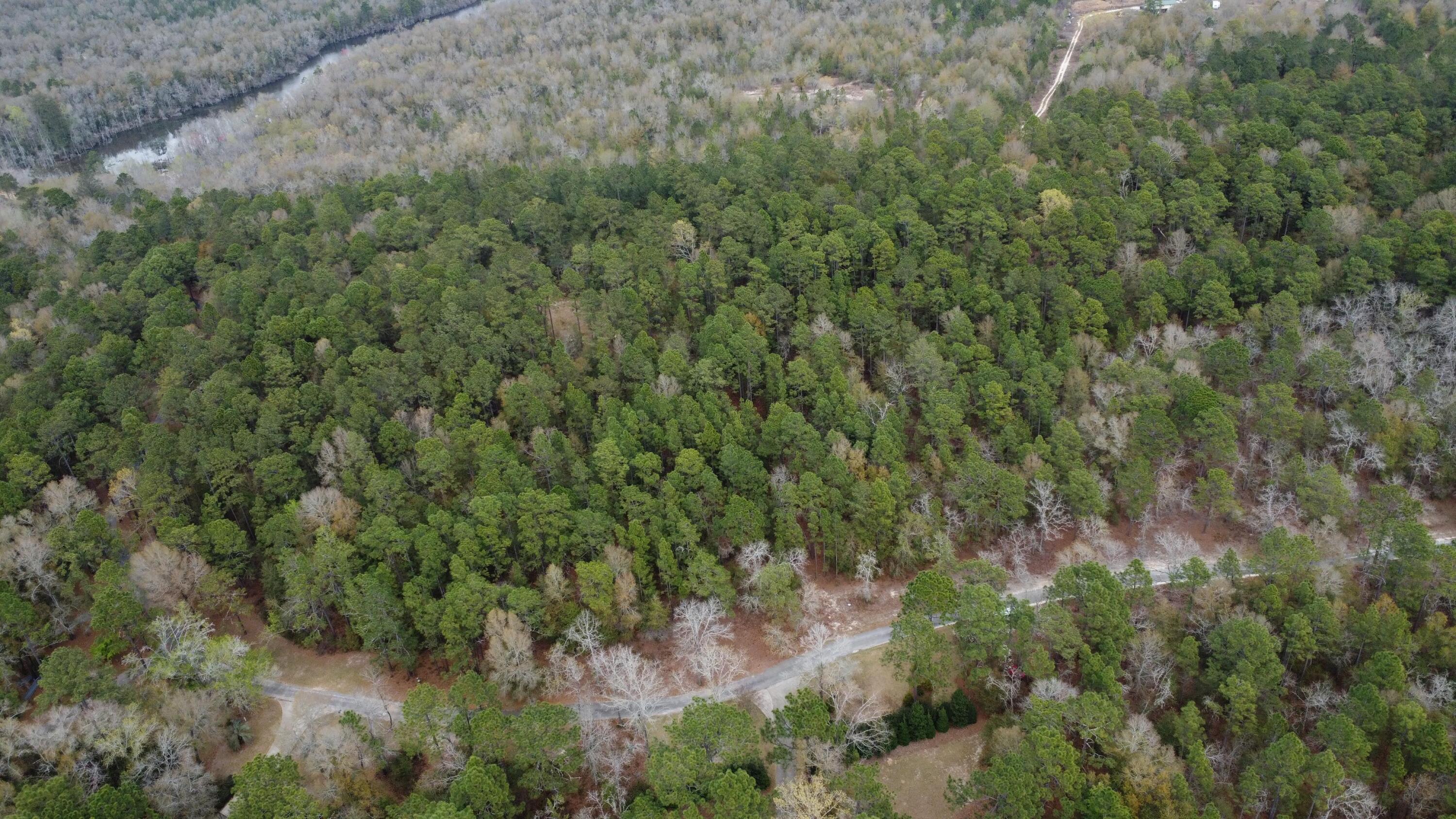 0 Edisto Lake Road Wagener, SC 29164 - Photo 7 of 14 7