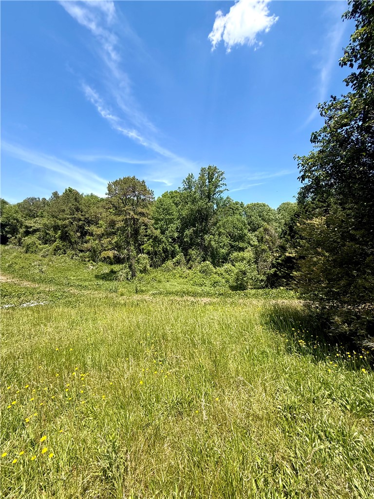 464 Earls Mill Road Seneca, SC 29678 - Photo 2 of 7 Expansive natural landscape with lush green foliage under an open blue sky.