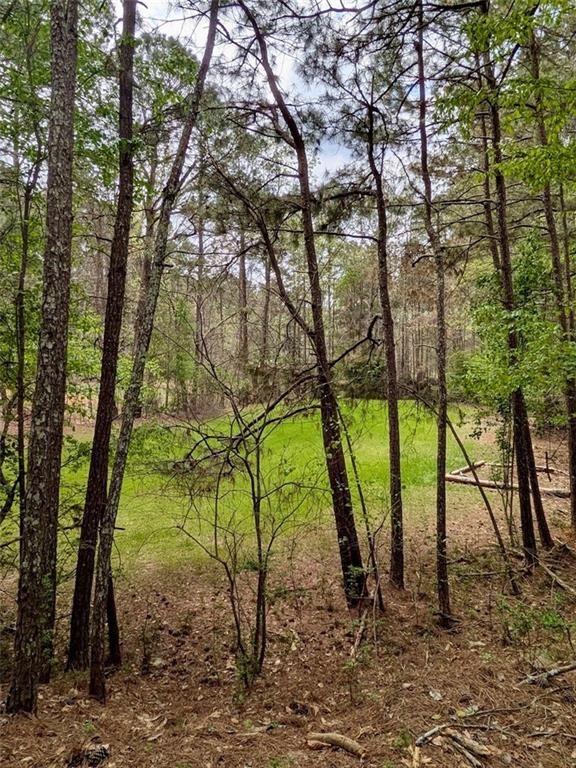 16040 Henderson Road Milton, GA 30004 - Photo 15 of 16