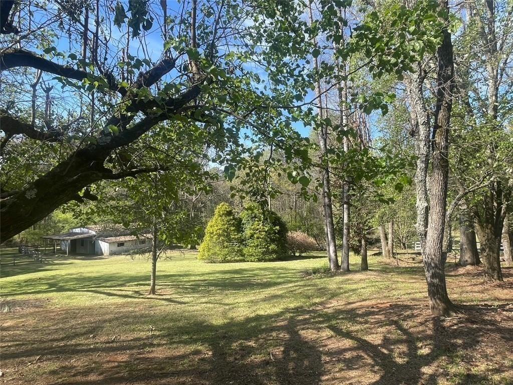 16040 Henderson Road Milton, GA 30004 - Photo 6 of 16