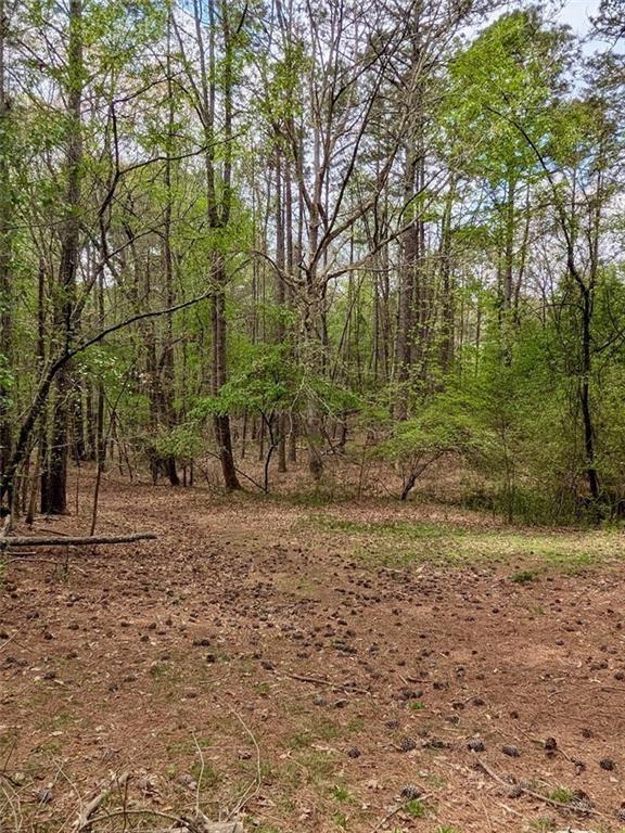 16040 Henderson Road Milton, GA 30004 - Photo 9 of 16