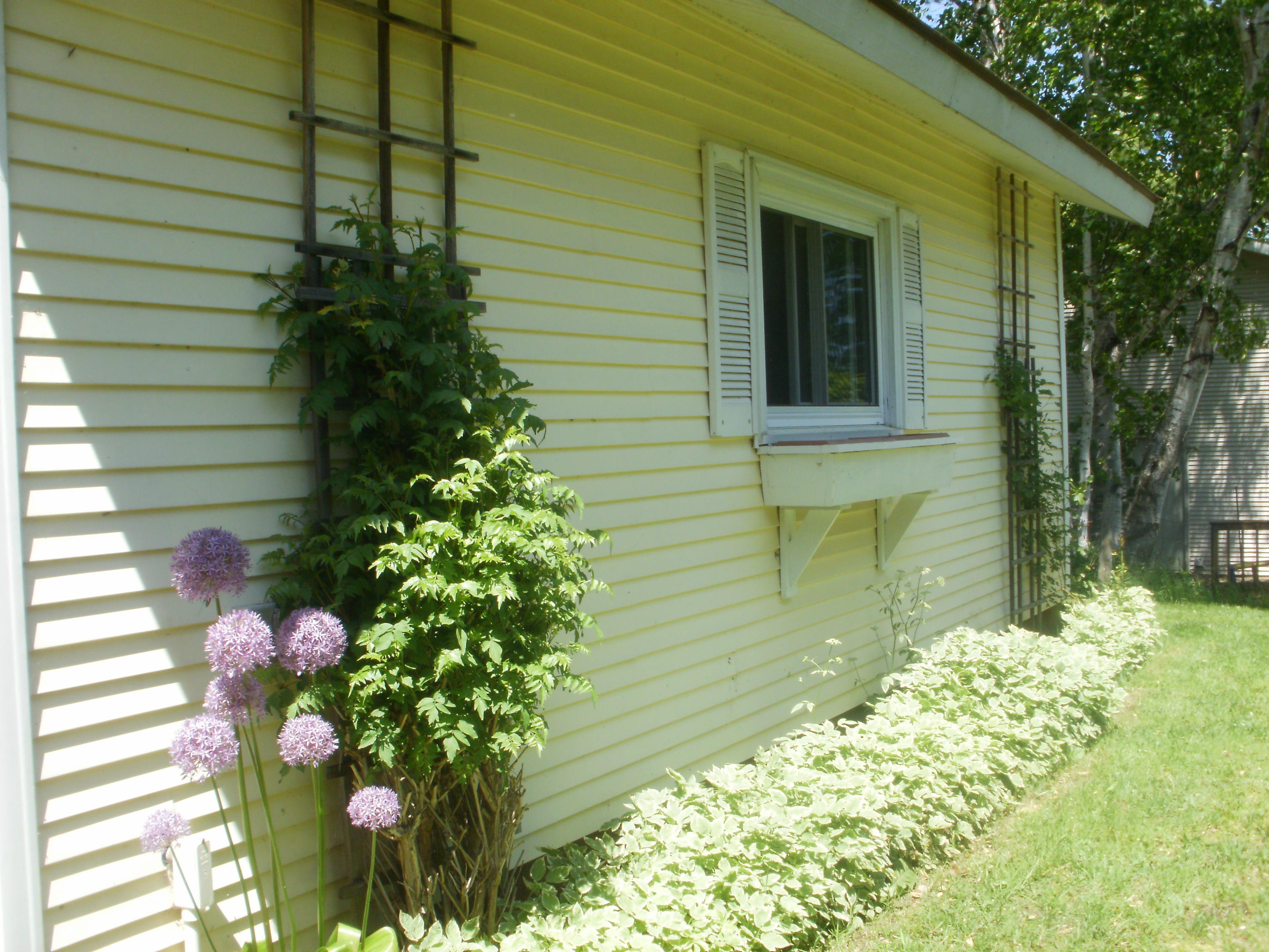 1109 Water Street Cheboygan, MI 49721 - Photo 13 of 50 Gallery Image 13