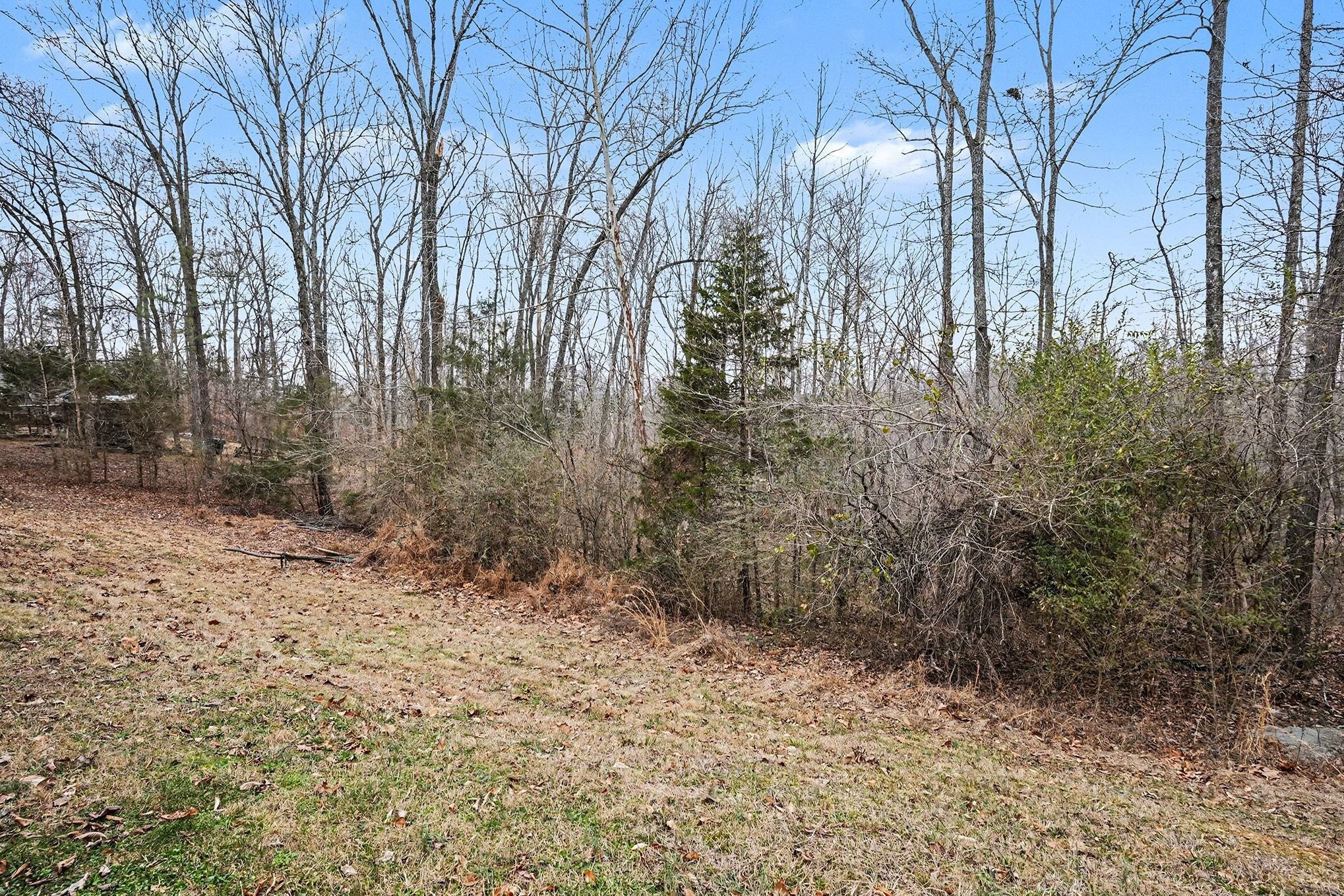 8896 Greer Road Lyles, TN 37098 - Photo 29 of 30 a view of a yard with trees