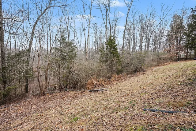 a backyard of a house with lots of green space