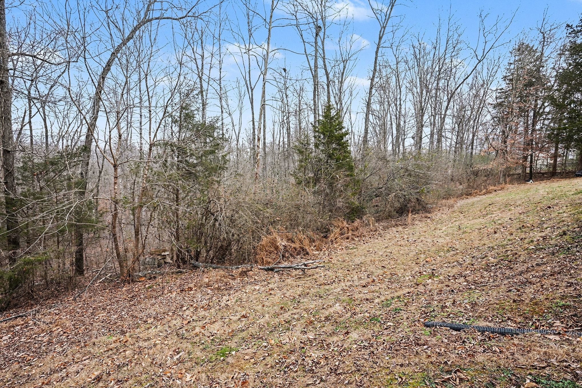8896 Greer Road Lyles, TN 37098 - Photo 30 of 30 a backyard of a house with lots of green space