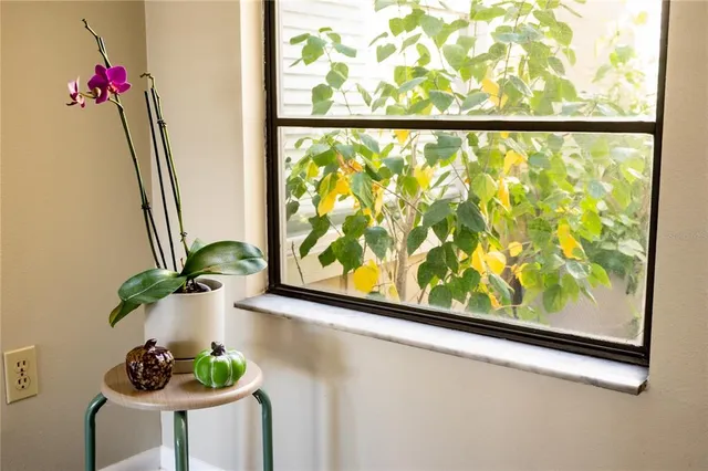 $392,450 | 419 Bloomingfield Drive, Brandon, FL 33511