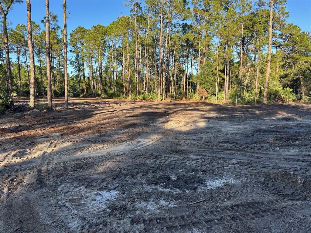 1090 Homestead Cove Geneva, FL 32732 - Photo 2 of 12