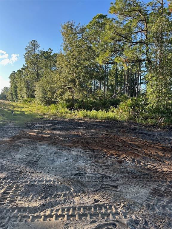 1090 Homestead Cove Geneva, FL 32732 - Photo 5 of 12