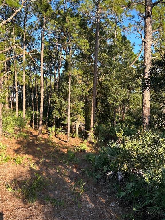 1090 Homestead Cove Geneva, FL 32732 - Photo 8 of 12