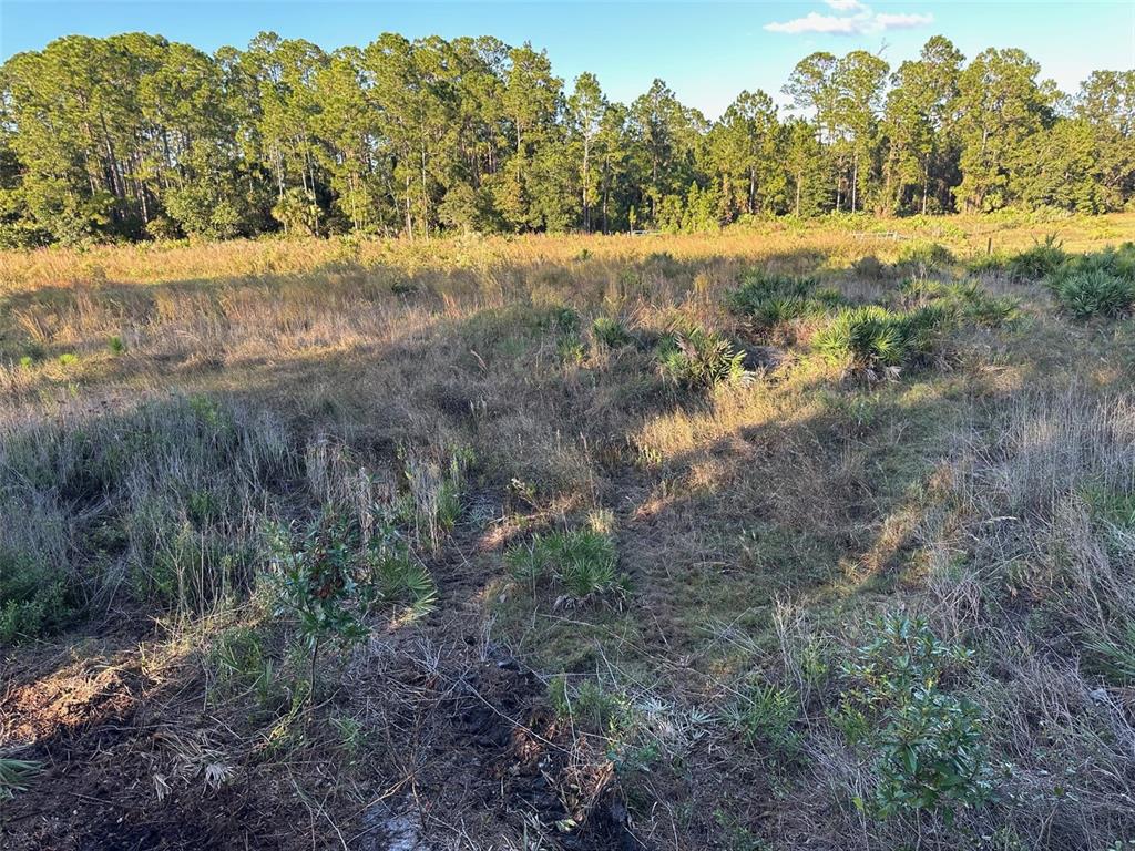 1090 Homestead Cove Geneva, FL 32732 - Photo 9 of 12