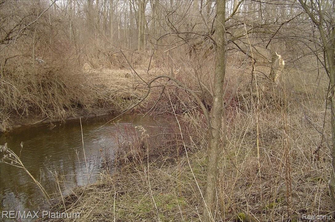 Vl East Marr Road Howell, MI 48843 - Photo 4 of 9 Bouge Creek