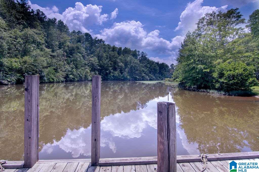 231 County Road 2012 Delta, AL 36258 - Photo 4 of 24