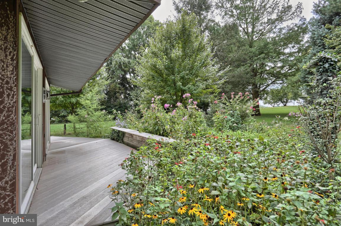 283 Pine Road Palmyra, PA 17078 - Photo 44 of 49 Gallery Image 44