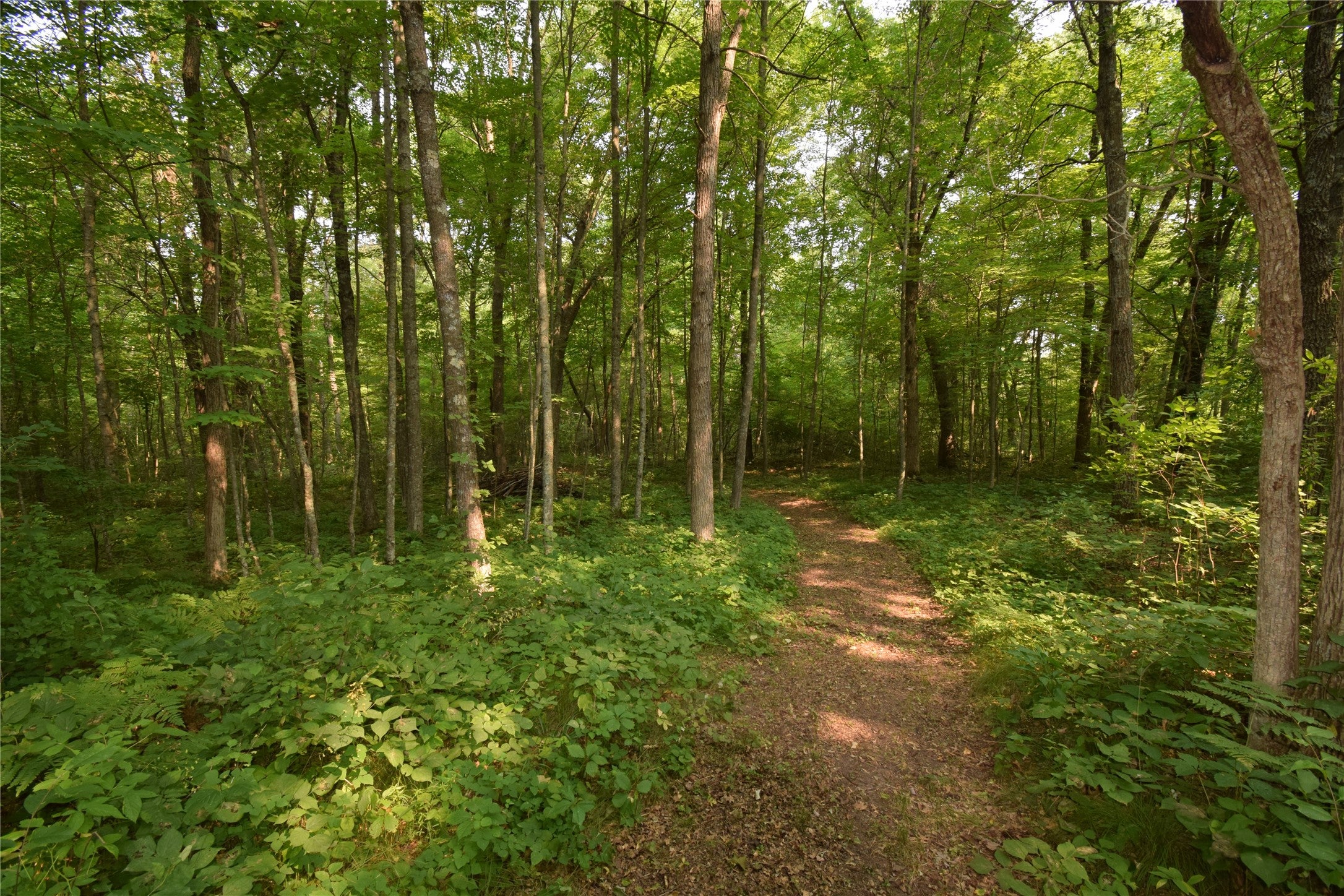 25707 Smith Road Webster, WI 54893 - Photo 51 of 58 Gallery Image 51