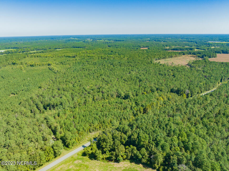 0 Trinity Church Road Magnolia, NC 28453 - Photo 23 of 47 23