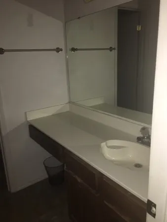 a bathroom with a sink and a toilet