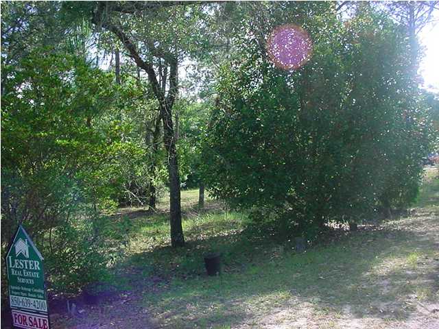 1 Stone Mill Creek Road Wewahitchka, FL 32465 - Photo 1 of 1